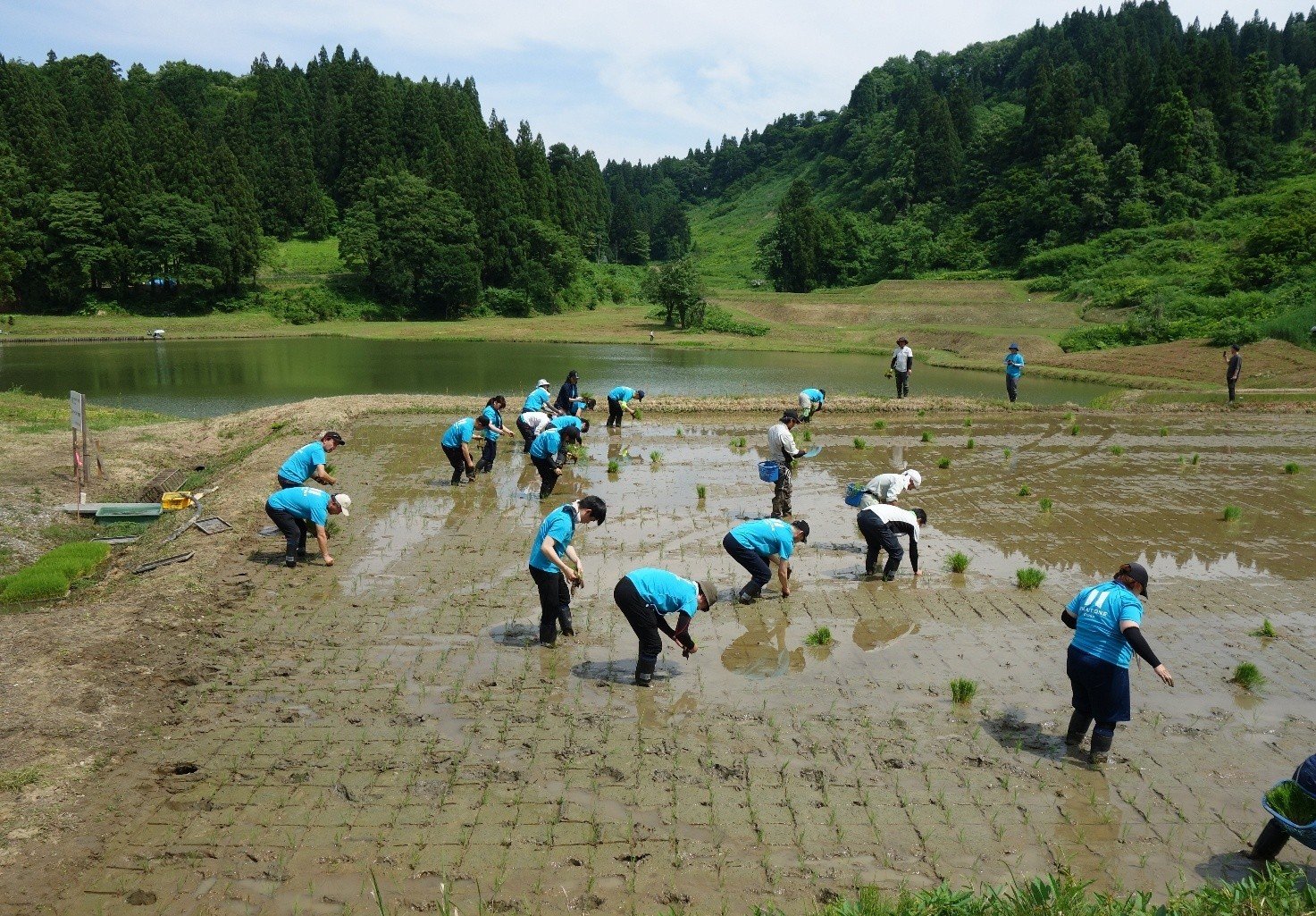 2025年6月24日 新潟県十日町にてミライト・ワン グループ社員による