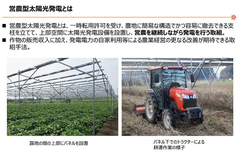 (図1)営農型太陽光発電とは(出典:農林水産省 大臣官房環境バイオマス政策課再生可能エネルギー室) イメージ
