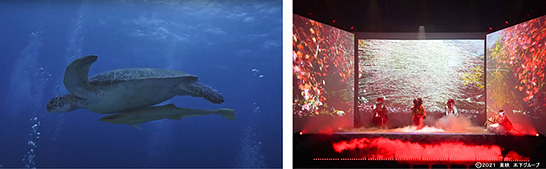 8Kと立体音響技術「Dolby Atmos」により制作する映像コンテンツの例 イメージ