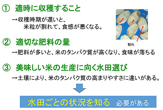 （図1）おいしい米を作るポイントは3つ（出典：青森県産業技術センター）　イメージ