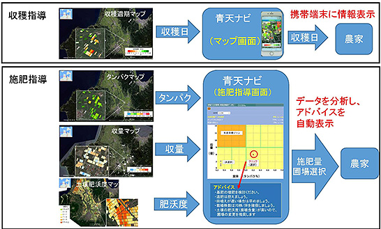 （図4）農家が直接情報を見て収穫日や施肥量を決められる「青天ナビ」（出典：青森県産業技術センター）　イメージ