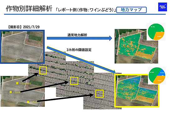 （図1）ドローンによる圃場の空撮を活用した精密農業の例（資料提供：ドローン･ジャパン）　イメージ