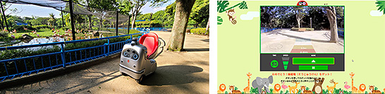 （写真3）オンライン動物園で使用された自動運転ロボット（左）と遠隔操縦体験の様子（右）（画面提供：千葉市動物公園）