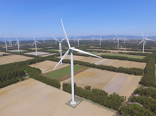日本最大級の陸上風力発電所「ウィンドファームつがる」（写真提供：株式会社グリーンパワーインベストメント）