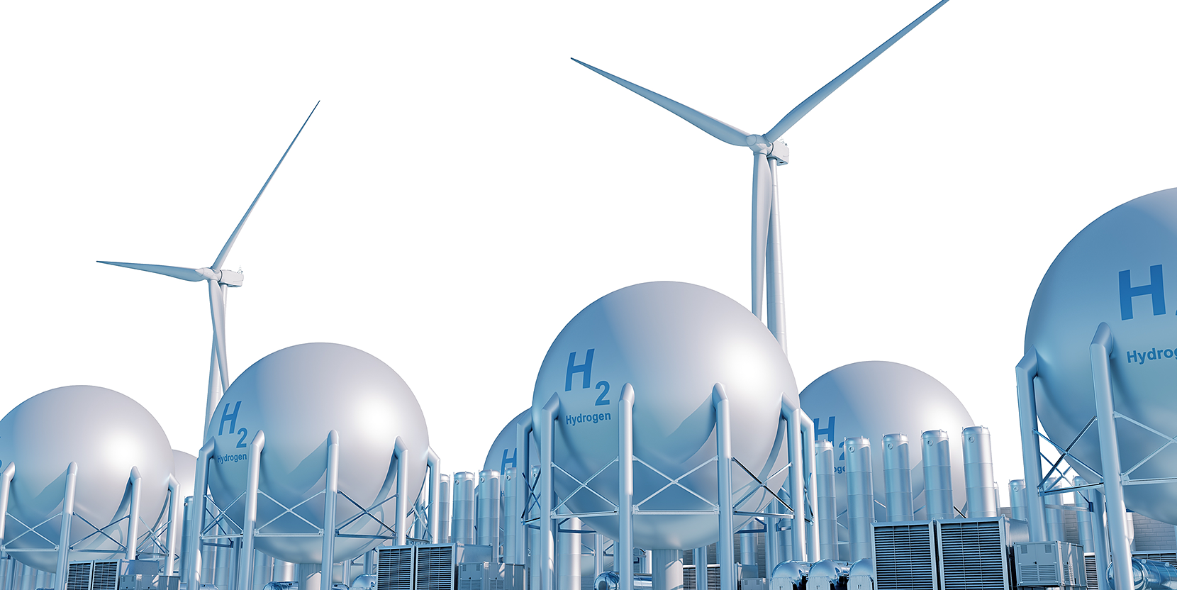 マンスリー特集