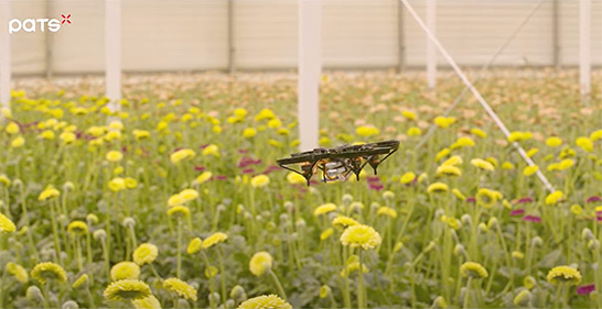 蛾を駆除する屋内ドローン（出所：PATS Indoor Drone Solutions YouTubeチャンネル） イメージ