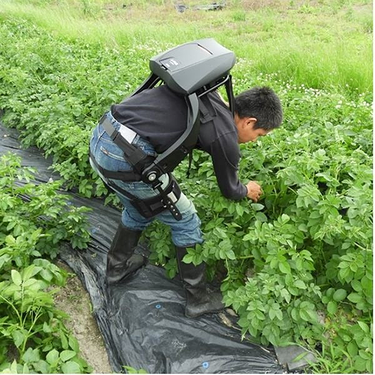 農作業の疲労を抑制するアシストスーツ（出典：RX Japan プレスリリース）　イメージ