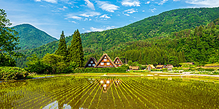 2025年12月特集  再エネ最前線 | 未来図（ミライズ）