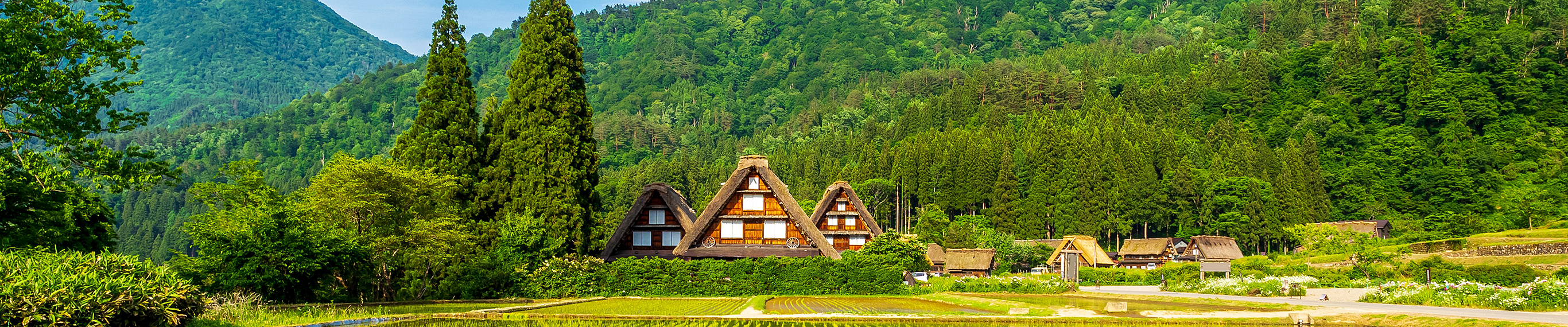 マンスリー特集