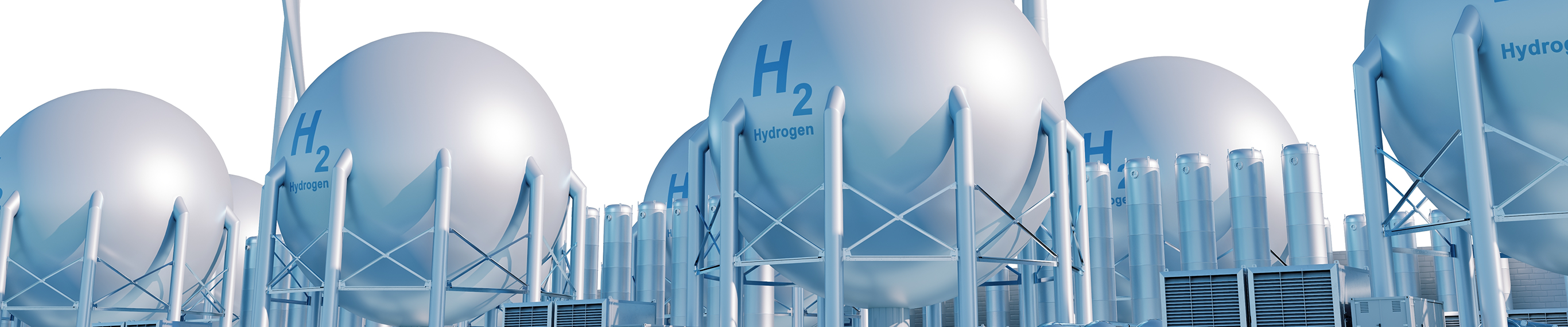 マンスリー特集